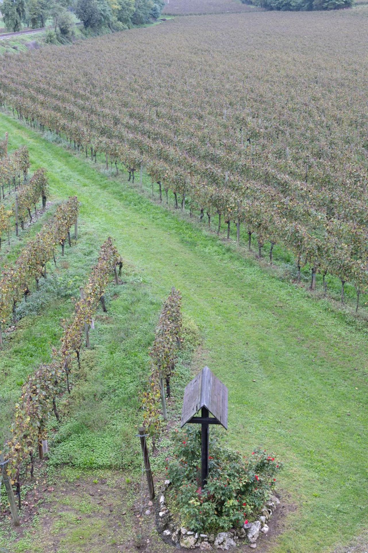 Agriturismo Ripa Del Bosco Capriolo Exteriör bild